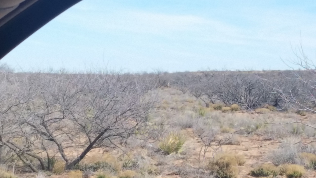 20190202_140830