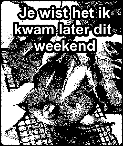 www.krabbelplaatjes.com