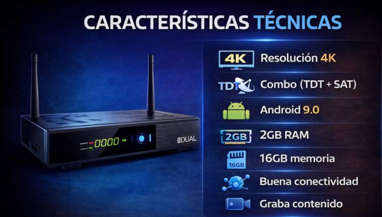 ���� 2026 ���� Viark Dual