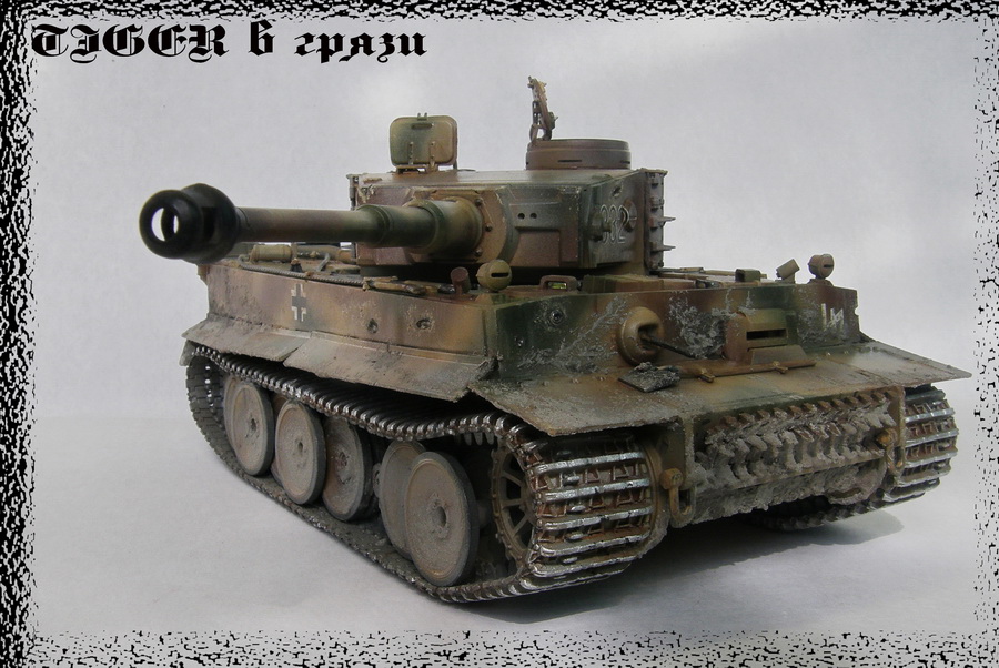 тигр в грязи