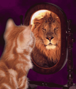 [Image: auto-estima.gif]