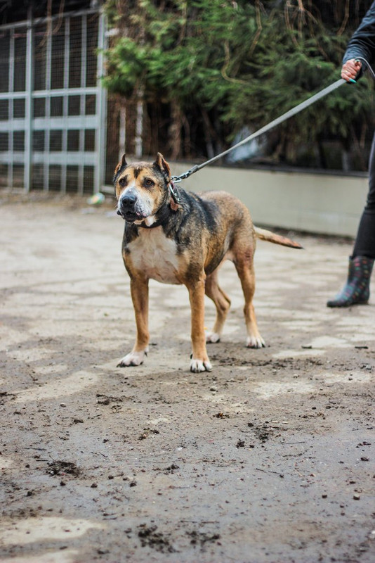 без имени-1351