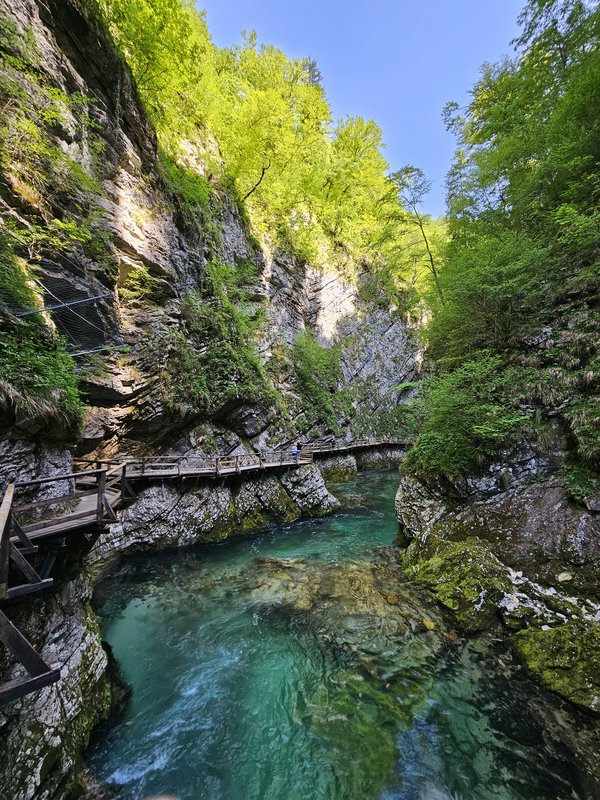 Slika