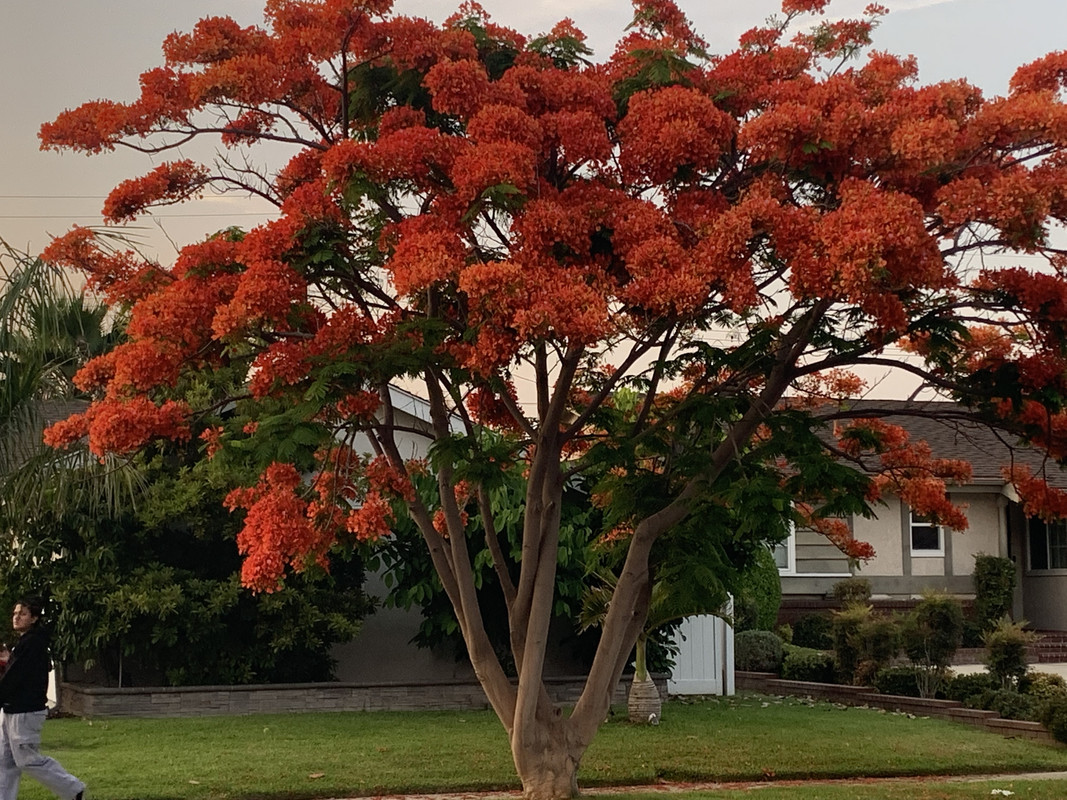 B03FD3D3-93AE-4103-9304-D8FF28AC7AF8