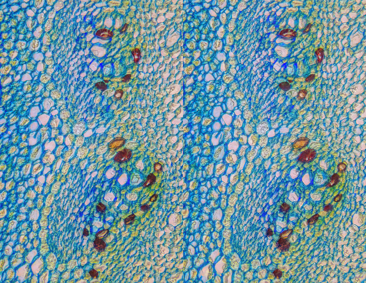 Stereo 3 5 Cross Tpnd 4K