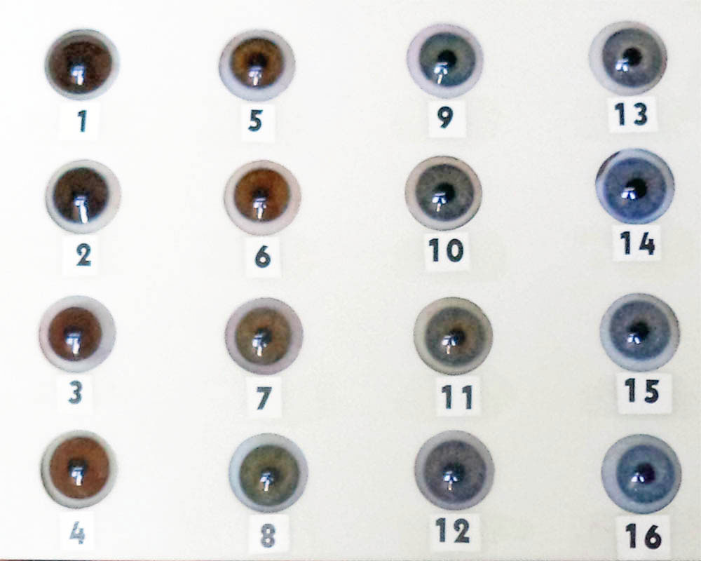 Pupil Chart To Scale