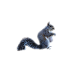 2-B616-DB9-E01-B-444-F-A095-4-DA7691-D1668.png