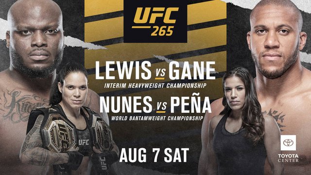 UFC 265 Lewis Vs Gane