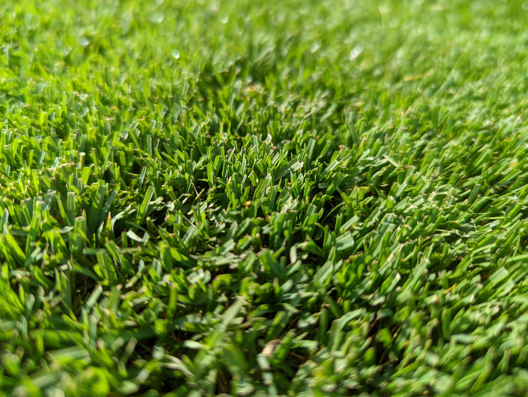 PXL_20220519_141609414.MP