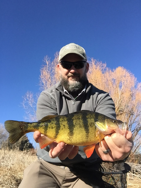 447AC6B0-E561-4126-930F-744671EC4CDA