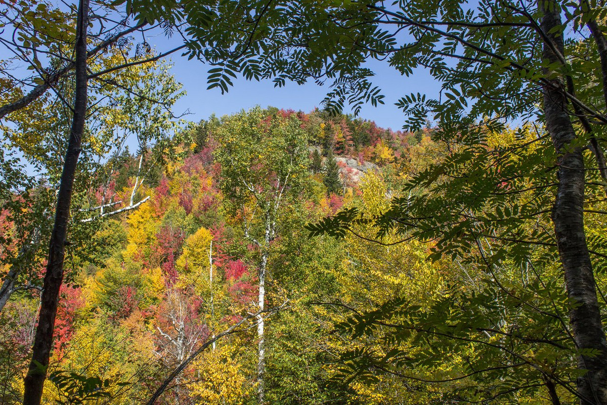 Champney Waterfalls-5