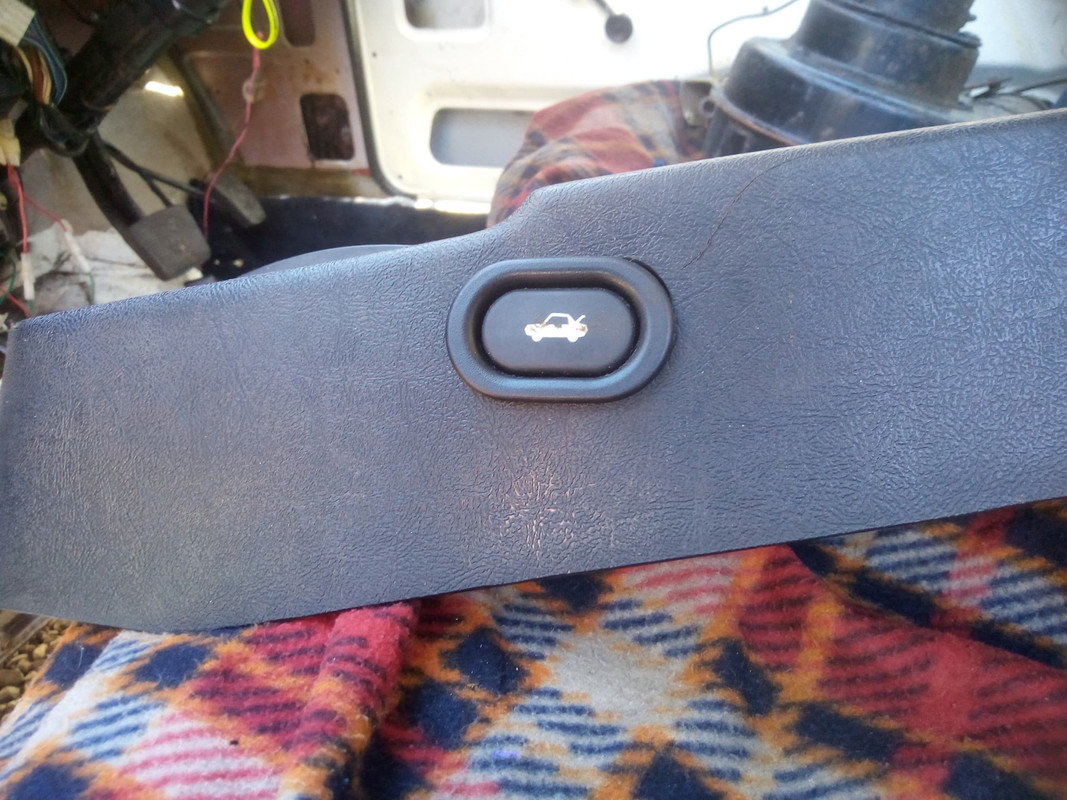 101546352_3869423513099533_4021532566786932736_n