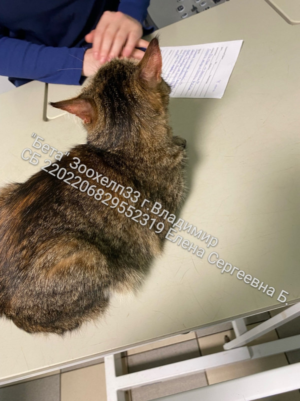 zSWFdvdB_Gm69kDcyQQgv2HDAHsg5Oz_W9vWmVo7TgKyGCN2755xPZ0bisgjQ6reQ6PY7i0W1uDa51_Au4SGZ718-1_wm