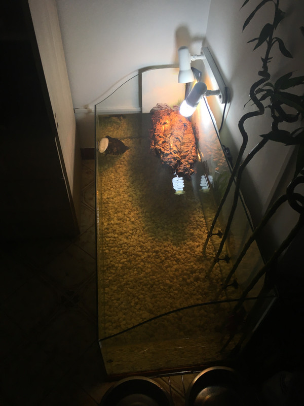 4A0F97A2-5CA6-4878-9090-6B35CE858A35