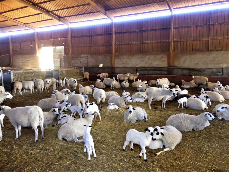 VALDERROMAN-16-2-2020 - Soria y sus pueblos-2010/2013/2020 (40)