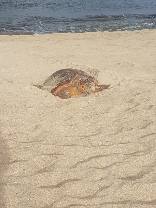 D261EF17-8973-4C02-A7AD-C496B1C9CB47