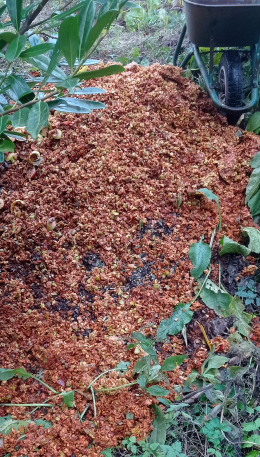 2022-12-02-155910_260x457_scrot