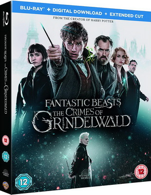 Animali Fantastici 2: I Crimini Di Grindelwald (2018) FullHD 1080p HEVC DTS ITA + AC3 ENG + Sub ITA/ENG Animali Fantastici 2: I Crimini Di Grindelwald (2018) FullHD 1080p HEVC DTS ITA + AC3 ENG + Sub ITA/ENG