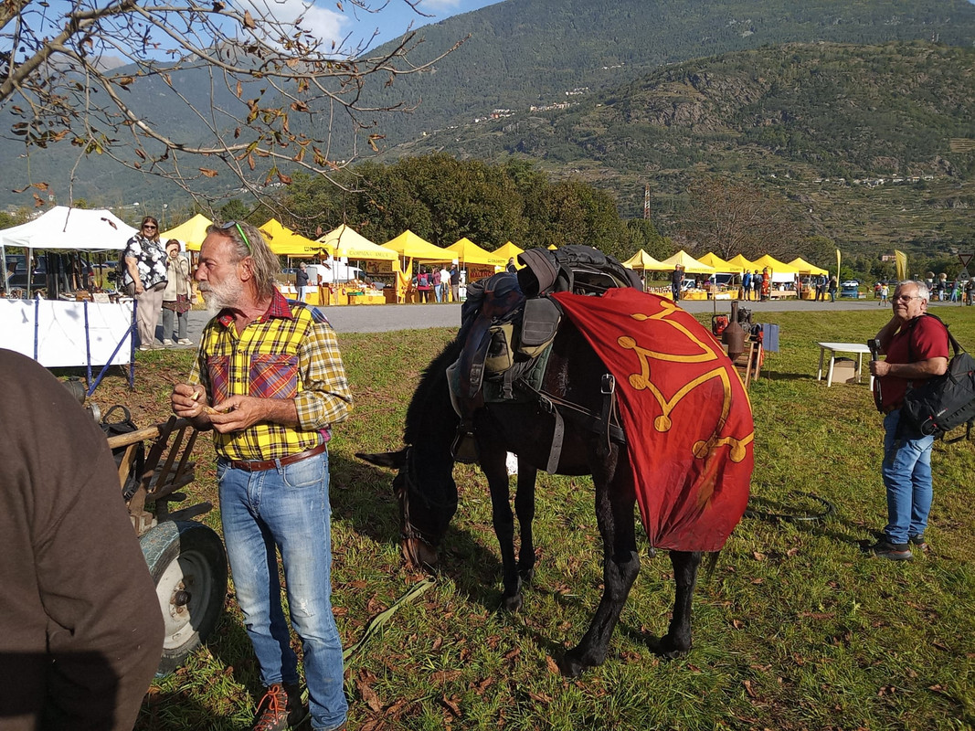 Scargaamuut 2023 (13)