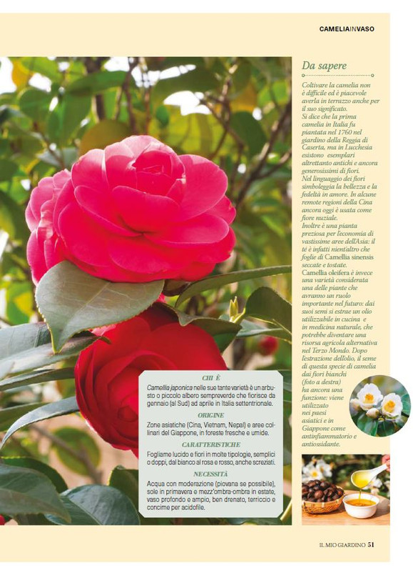 il mio Giar Feb Mar 2026 (8)