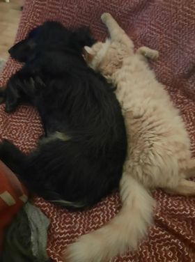 [Image: 140326195-743171932969405-81260071049877502-n.jpg]