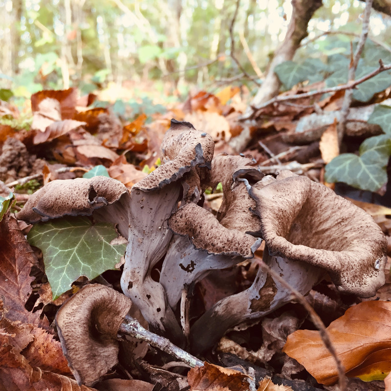 CB94EBEF-E0EF-4B92-B837-ACEFAD077181