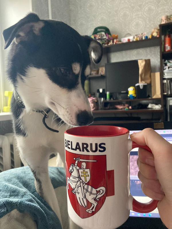 474485D2-AAFE-4A3B-840E-DD4EB0DAB1D8