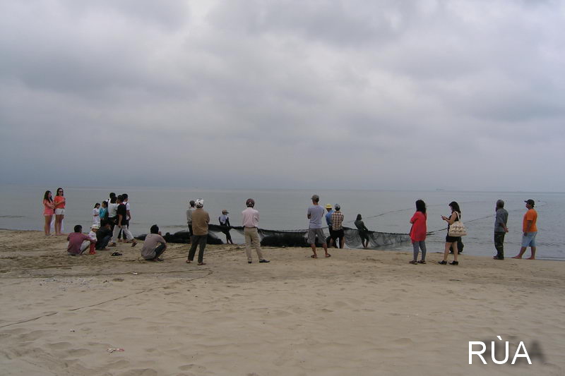 [Image: P1010122.jpg]