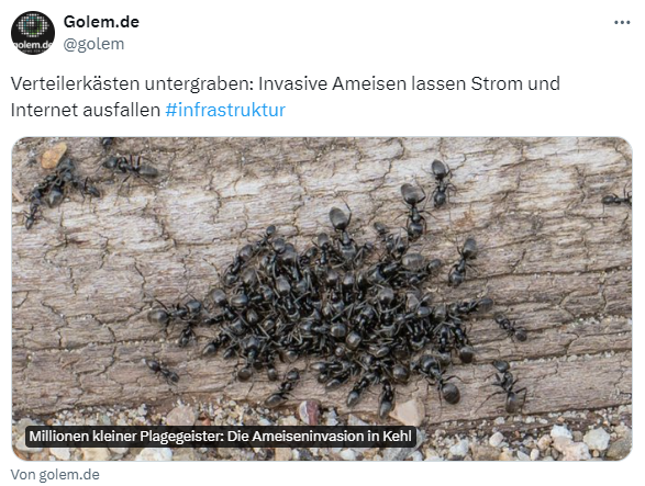 Ameisen