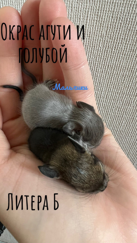 96BE22E2-1811-4965-880D-81324090E6B6