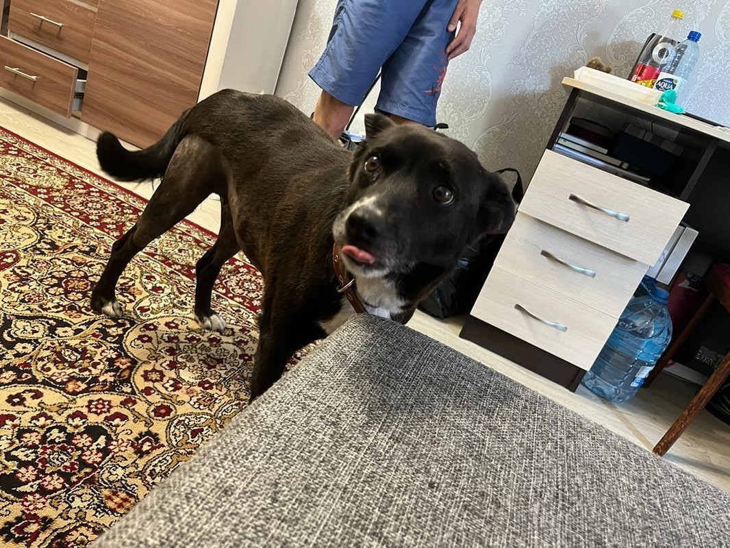 84911DD6-7120-4852-A334-6BAFED2D2258