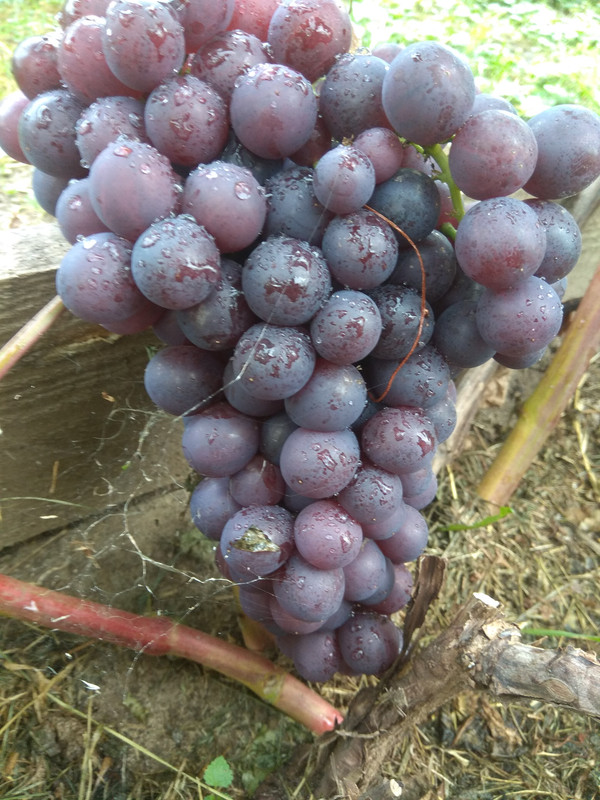 IMG_20220908_153143 Сеня