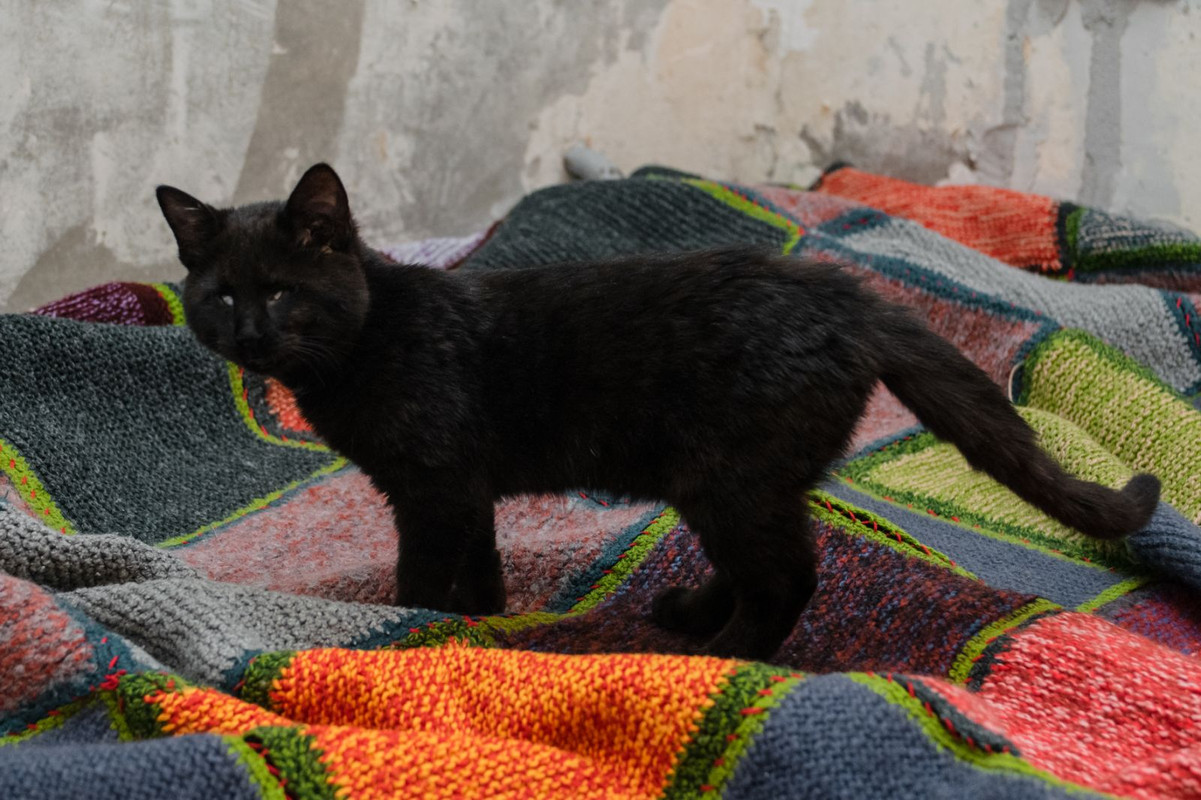 изображение_viber_2019-11-08_19-57-17