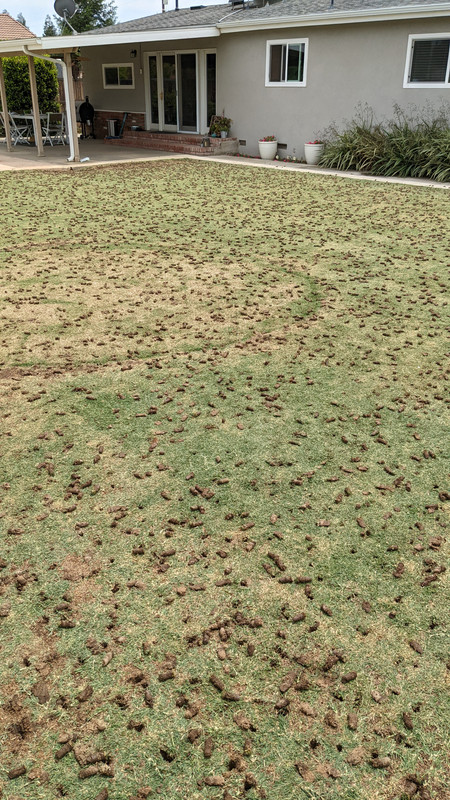 PXL_20220527_201508862