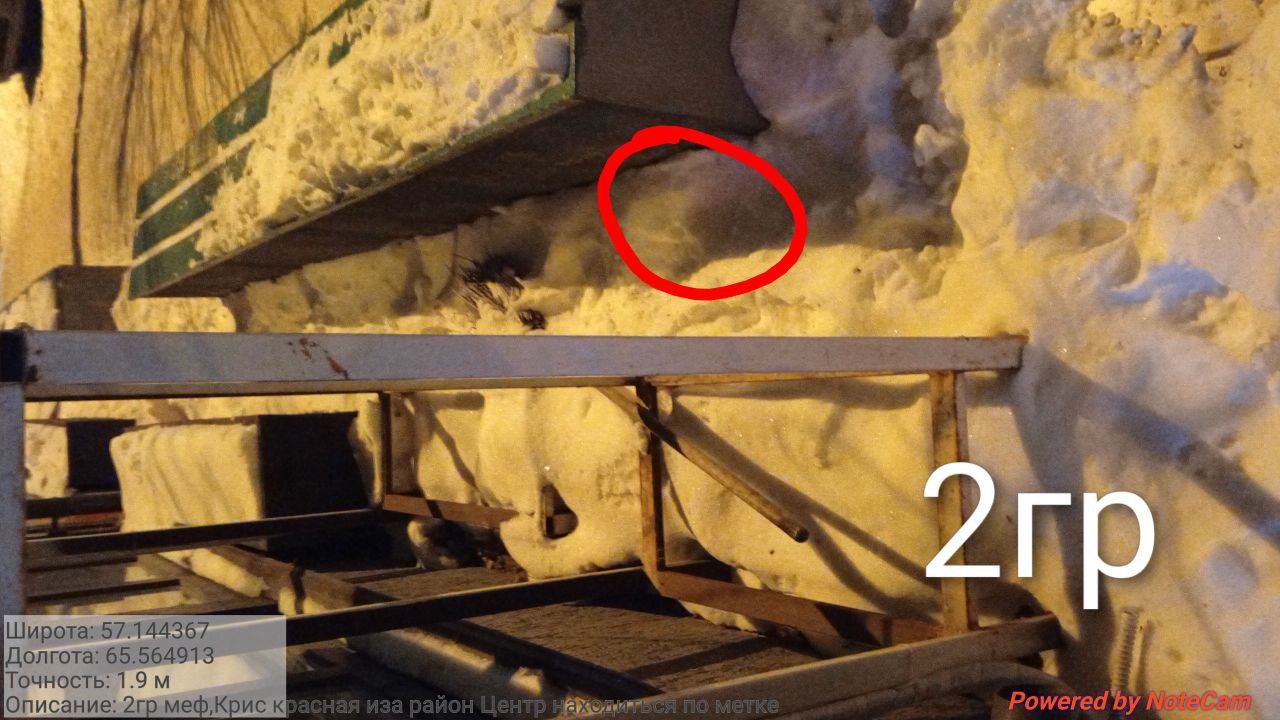 photo 2026 02 18 08 53 29