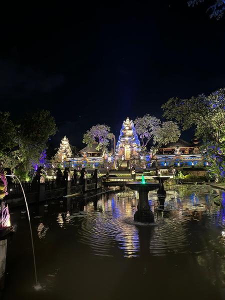 6 Aviones, 3 barcos y 2 trenes, empezando en Estambul y terminando Kuala Lump - Blogs de Indonesia - TERCERA PARADA: BALI (25)