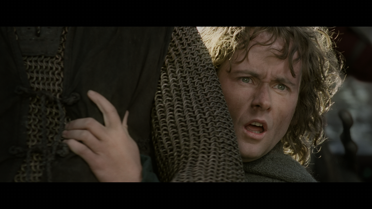 The Lord of the Rings- The Return of the King (EXT.) PT. 1.mkv_snapshot_00.17.01_[2020.12.15_18.27.1