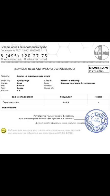 Кал на скрытую кровь от 27.11.2021