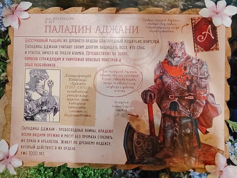https://i.postimg.cc/5ty6155R/235-IMG-20250128-153402.jpg