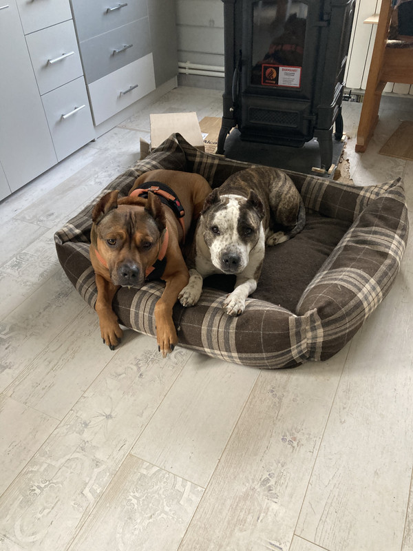 6CD19F8F-CDD8-4DB6-8D2A-BE3E9CAB83F2