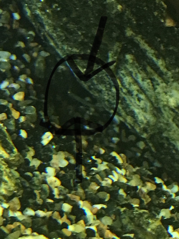 4215F09B-2D34-4072-8B1B-5BD5FB668758