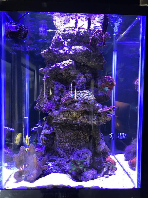 438B8B0D-2604-452D-9DF1-D90CB4163317