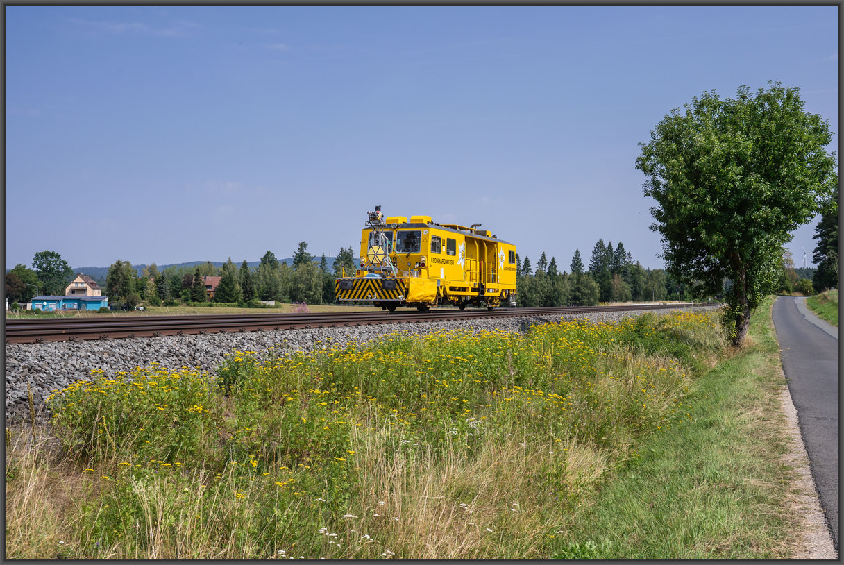 20260731 DSC1864