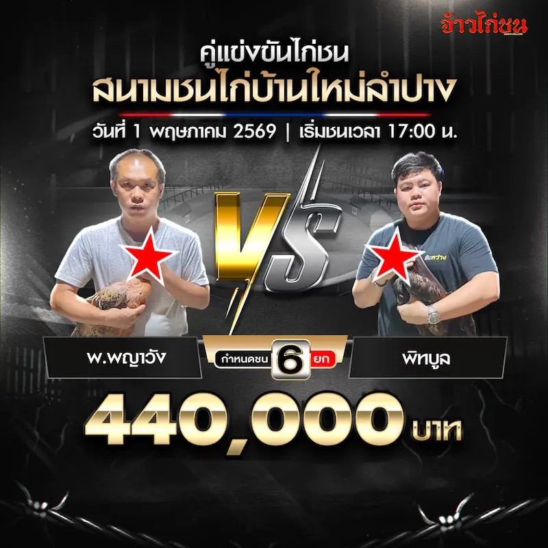 โปรแกรมไก่ชน สนามชนไก่บ้านใหม่ลำปาง 1 พฤษภาคม 2569 คู่ พ.พญาวัง พบ พิทบูล