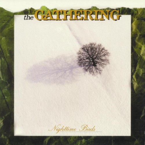 he-Gathering-Nighttime-Birds-1997.jpg?042148