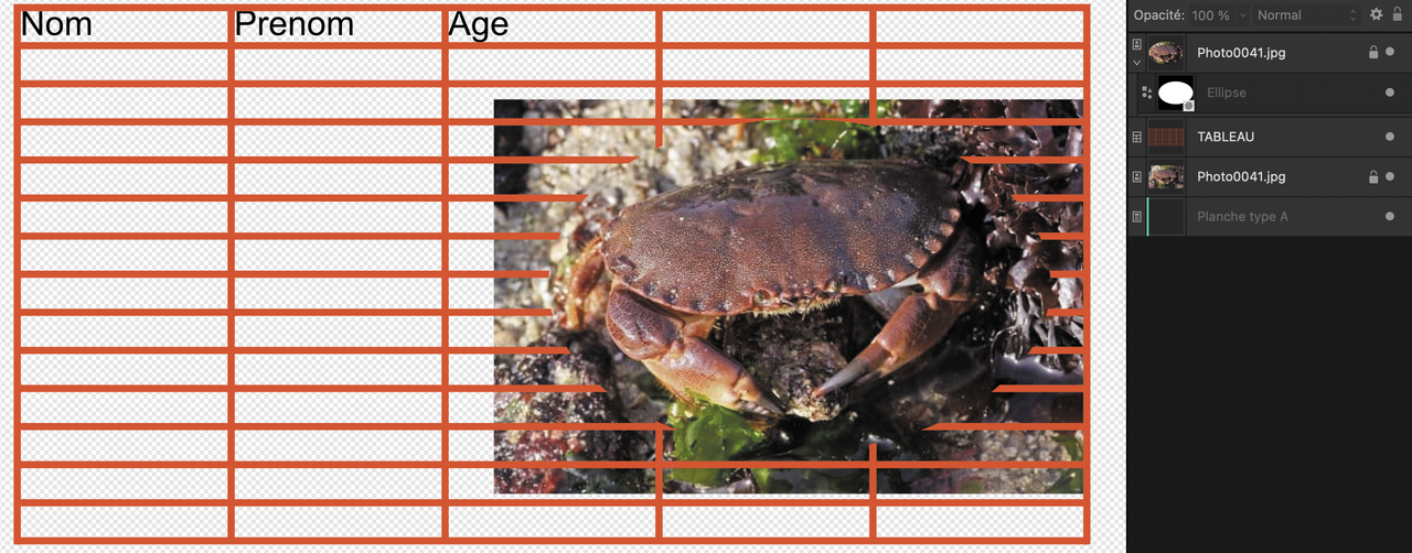 Capture d’écran 2024-11-20 à 13.11.26