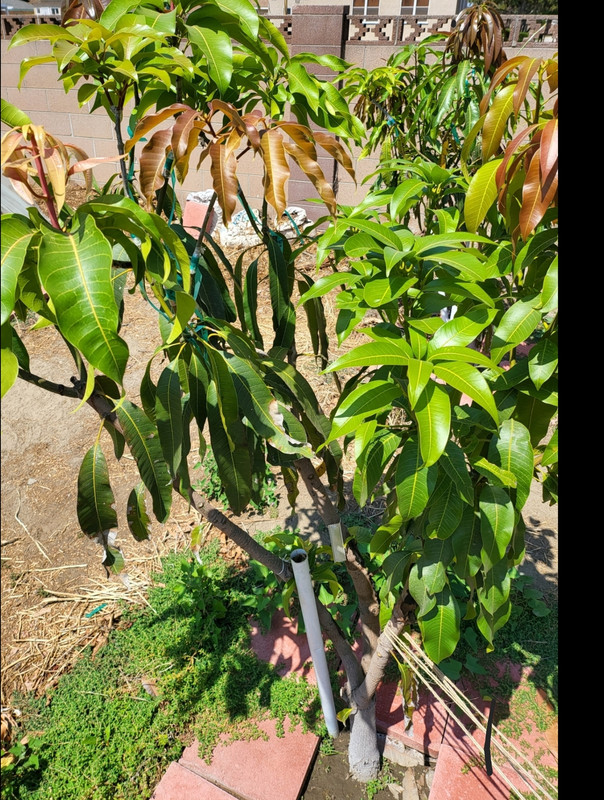 Screenshot_20220715-113451_Gallery