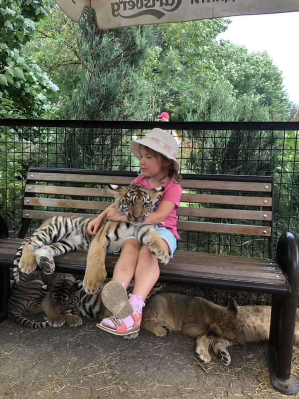 43580500-BFE0-46BB-94E5-7C066BE28272