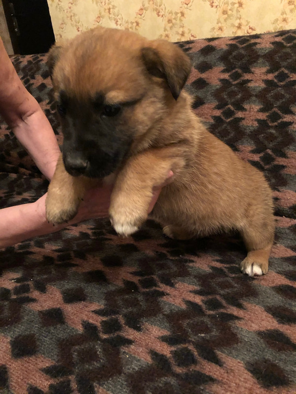 8AD3E6D8-7732-47C8-8DD7-6678768C0632