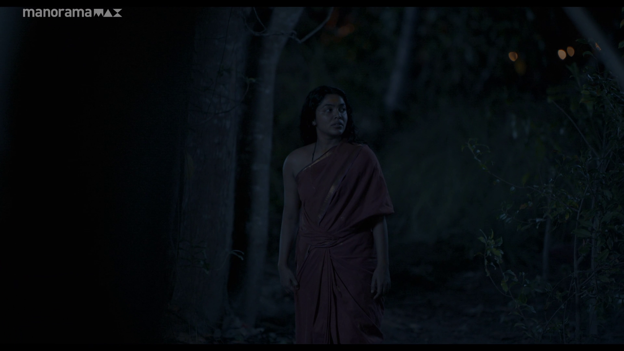 vlcsnap 2026 02 25 12h52m00s565